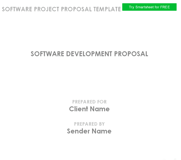 12 Sample Software Project Proposal Templates [PDF & WORD] Word Excel